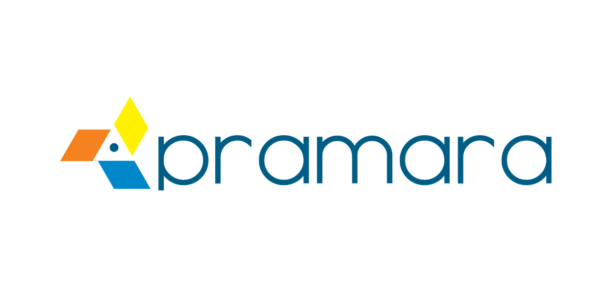 Pramara Promotions Limited IPO