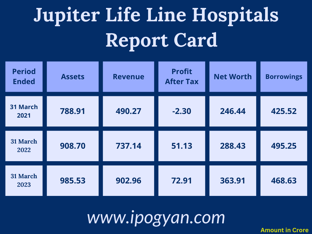 Jupiter Life Line Hospitals IPO Net Worth