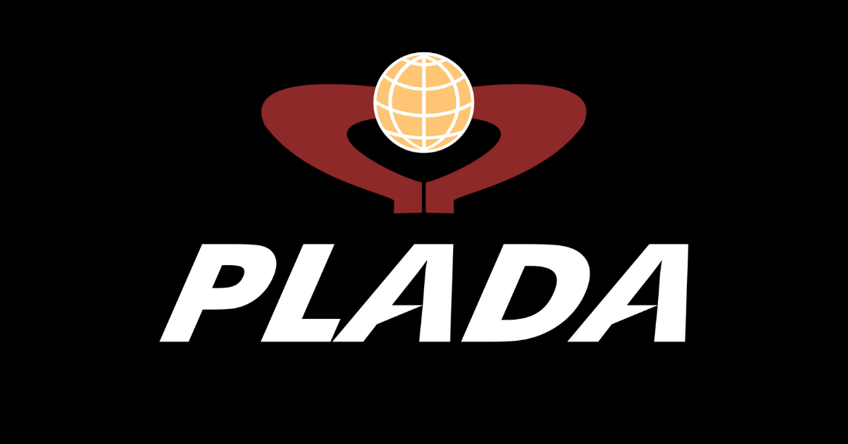 Plada Infotech Services IPO