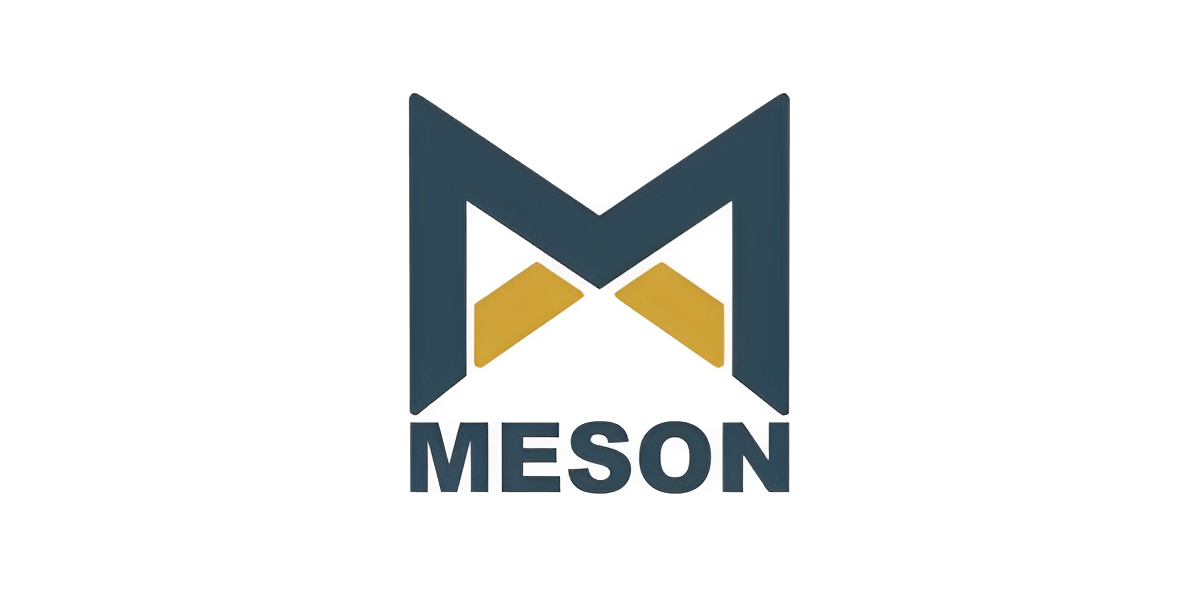 Meson Valves India Limited IPO