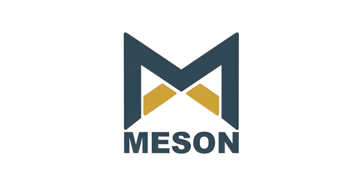 Meson Valves India Limited IPO