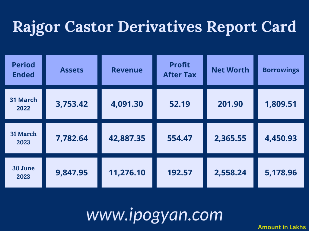 Rajgor Castor Derivatives Financials