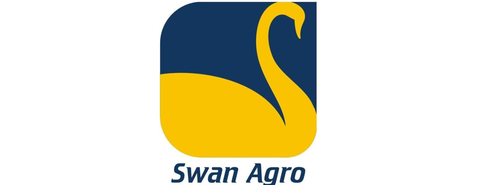 New Swan Multitech IPO