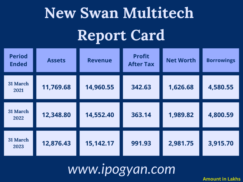 New Swan Multitech Financials