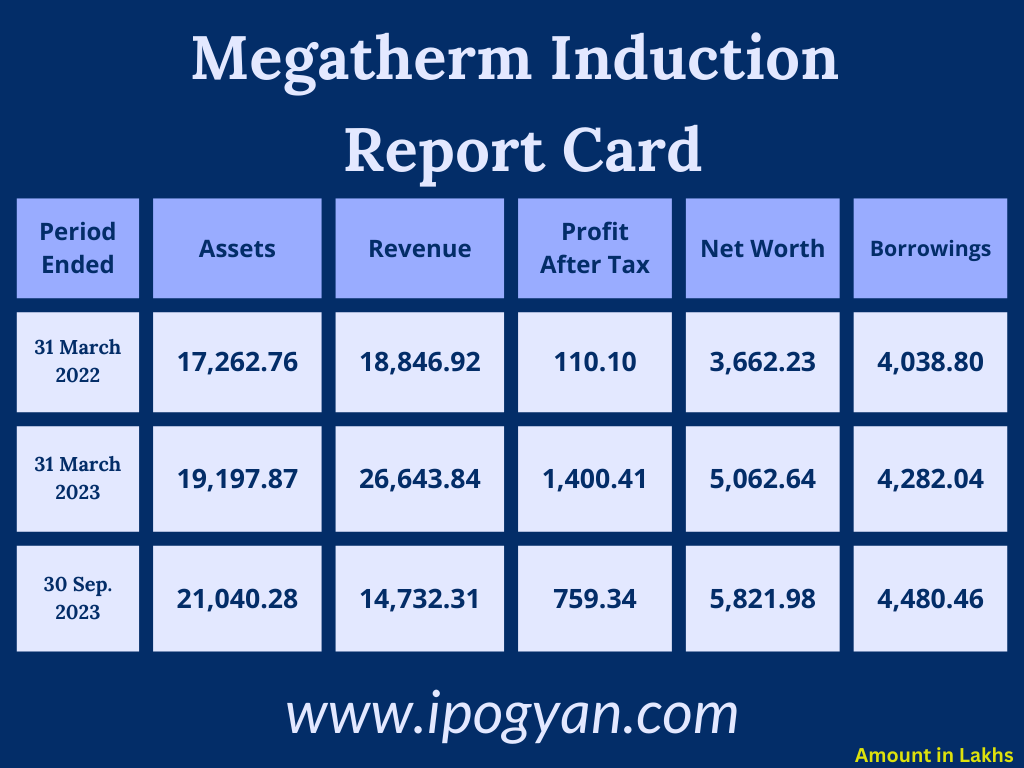 Megatherm Induction Financials