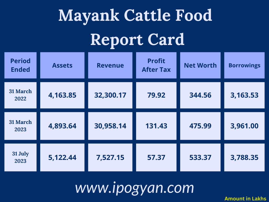 Mayank Cattle Food Financials