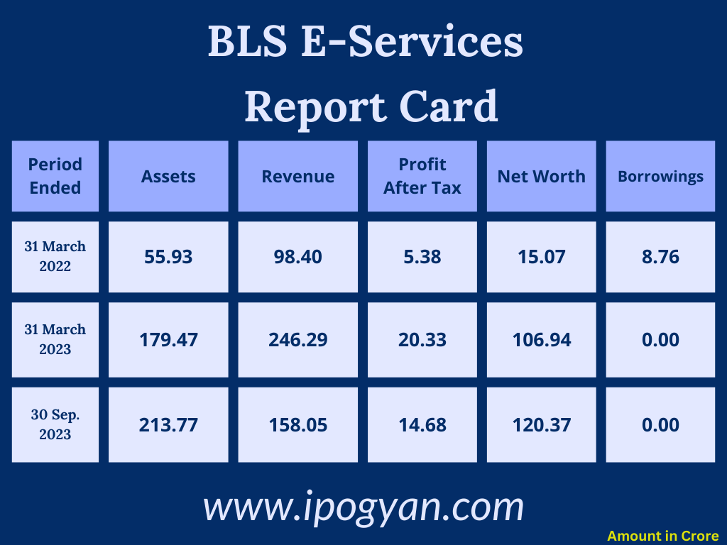 BLS E-Services Financials