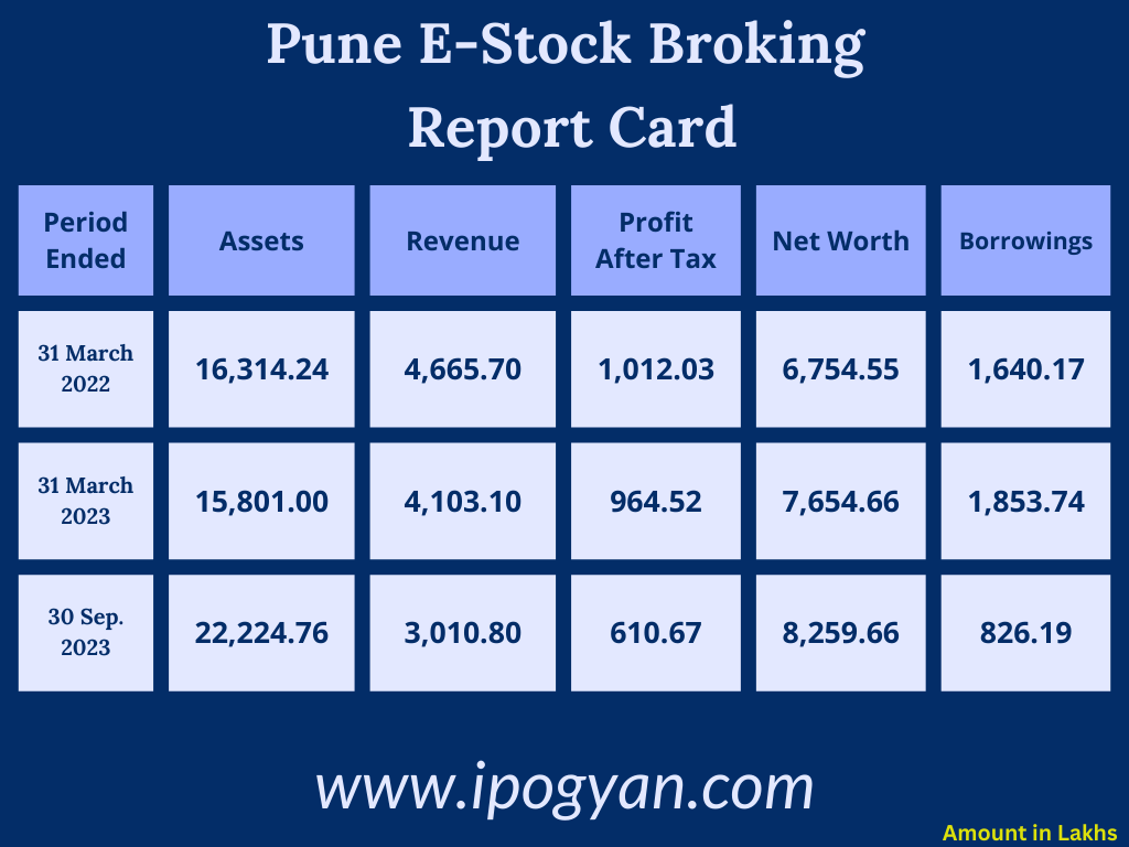 Pune E-Stock Broking Financials
