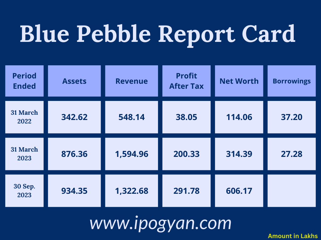 Blue Pebble Financials