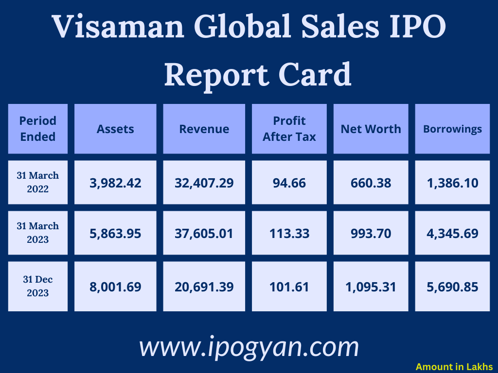 Visaman Global Sales Financials