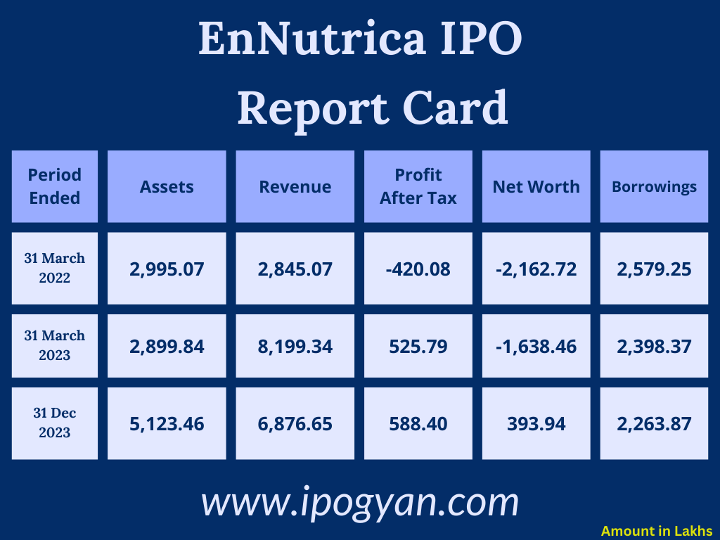 EnNutrica Financials