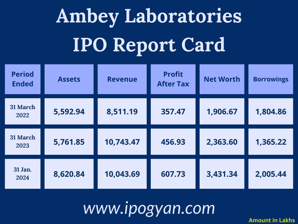 Ambey Laboratories Financials