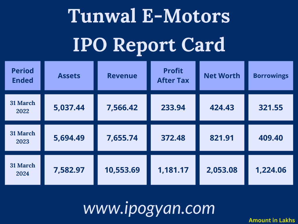 Tunwal E Motors Financials