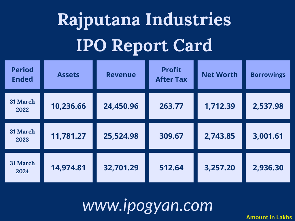 Rajputana Industries Financials