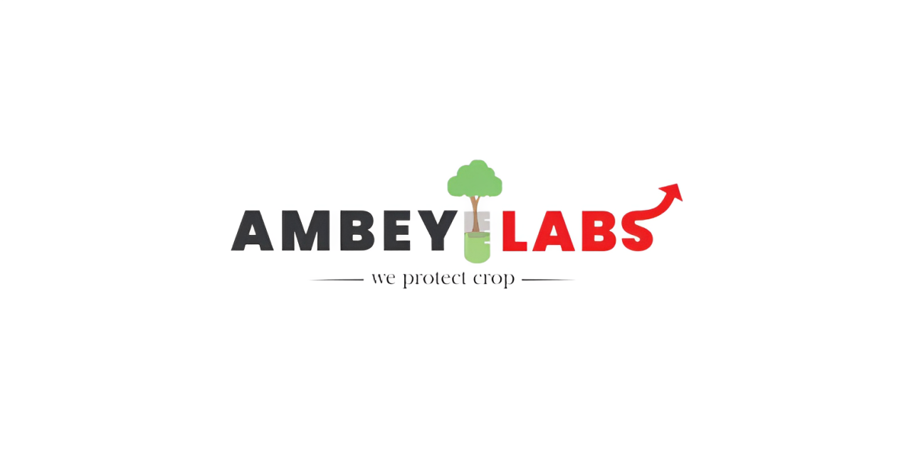 Ambey Laboratories IPO