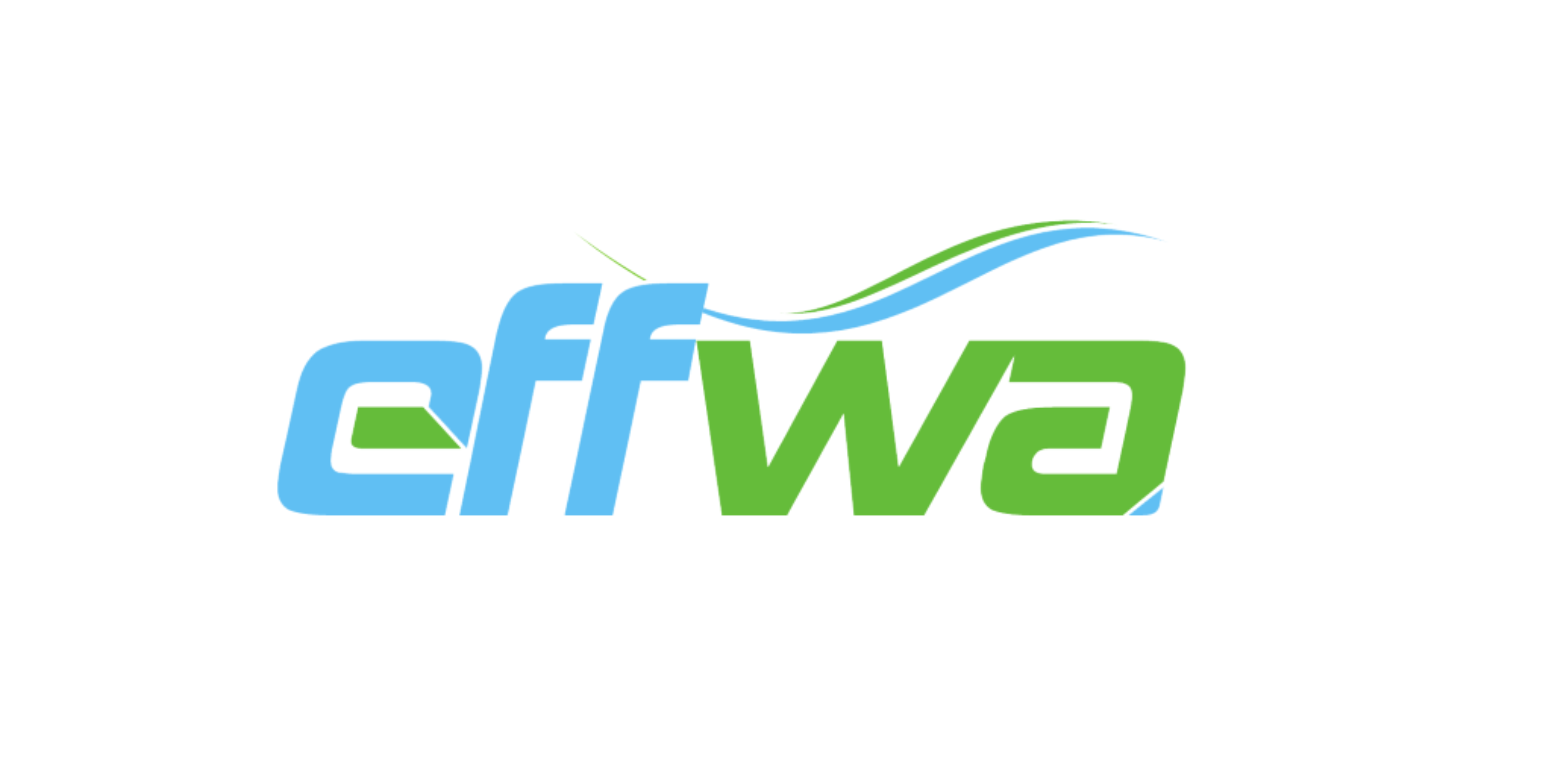 Effwa Infra and Research IPO