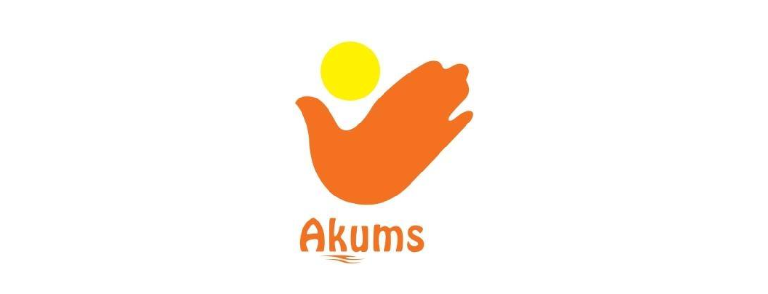 Akums Drugs and Pharmaceuticals IPO Review, Date, Price, GMP