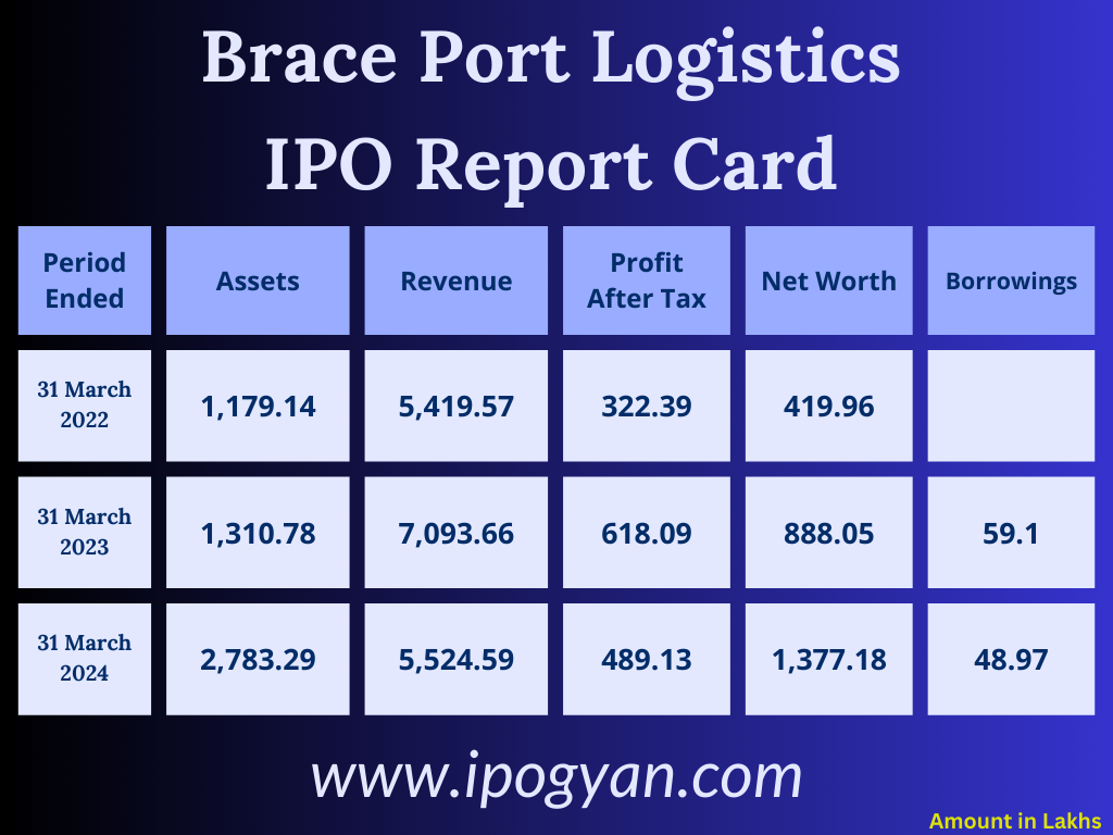 Brace Port Logistics Financials