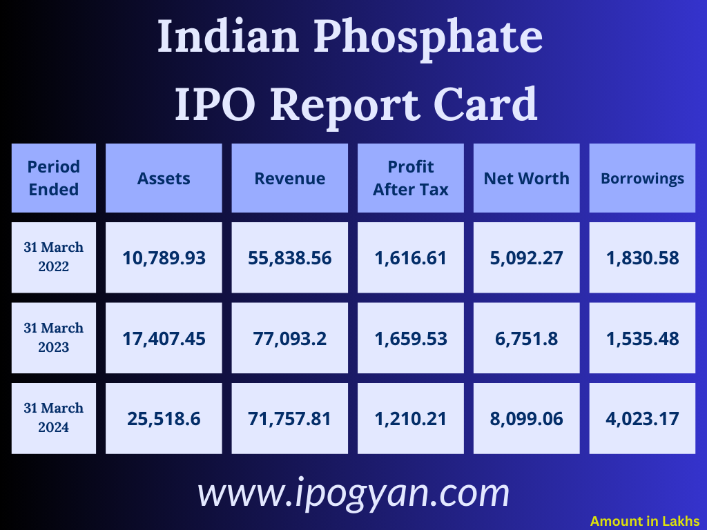 Indian Phosphate Financials