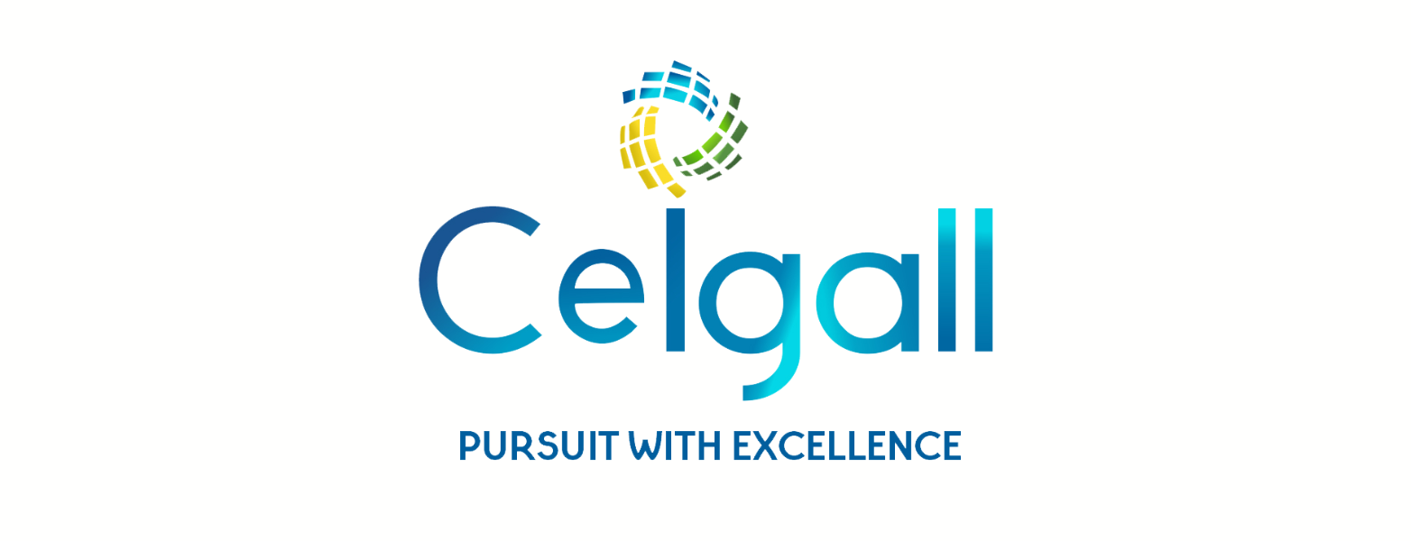 Ceigall India IPO