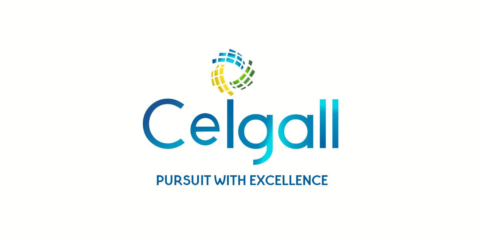 Ceigall India IPO