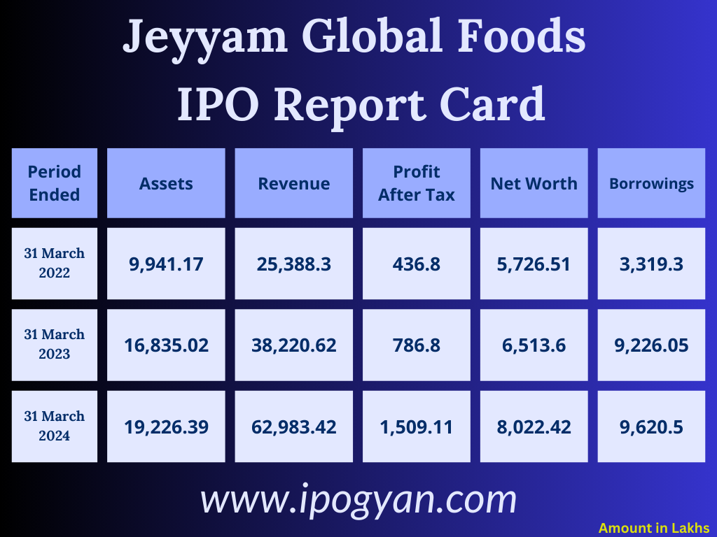 Jeyyam Global Foods Financials