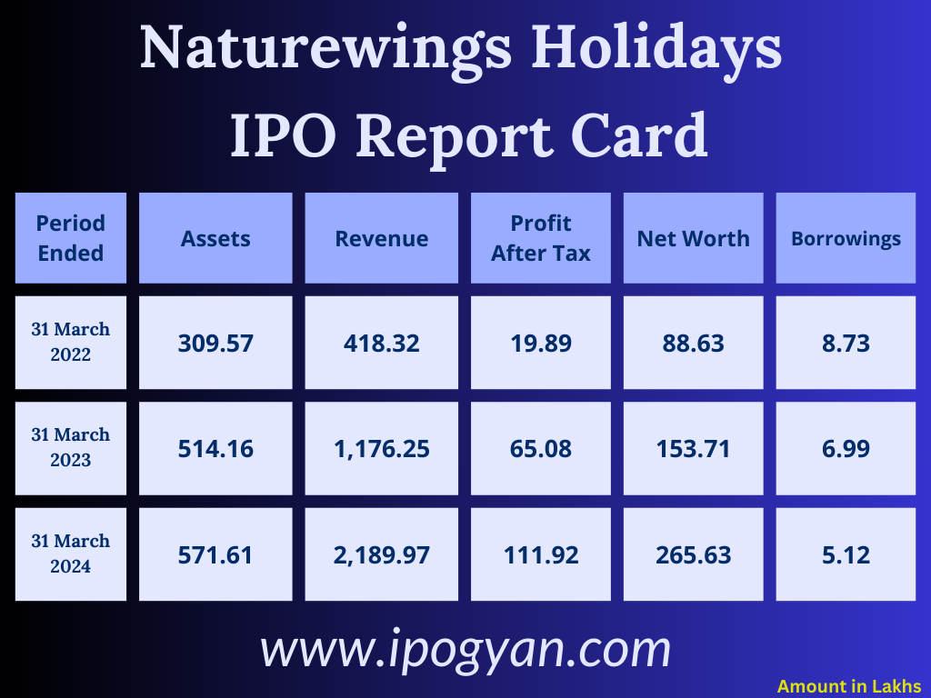 Naturewings Holidays Financials