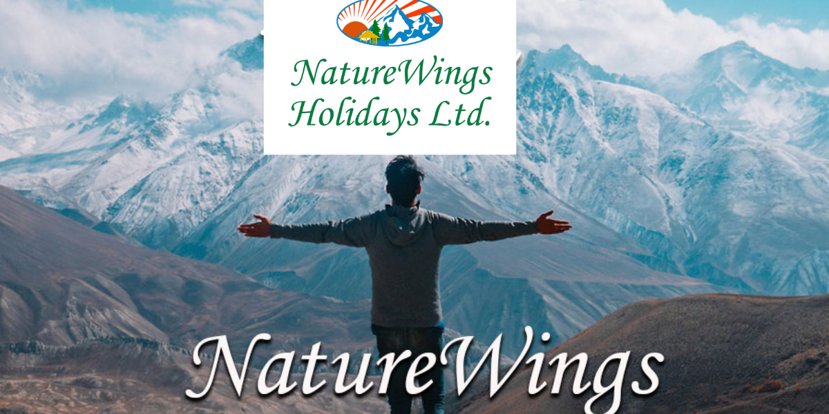 Naturewings Holidays IPO Review, Date, Price, GMP