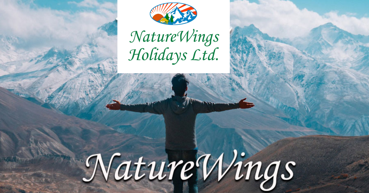 Naturewings Holidays IPO Review, Date, Price, GMP